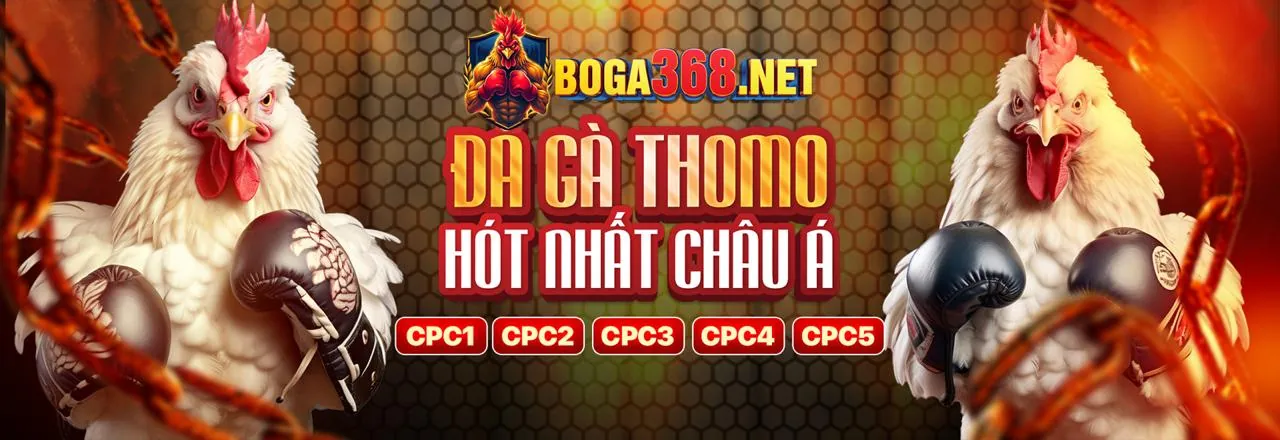 Banner khuyến mãi đá gà 999ok link hôm nay